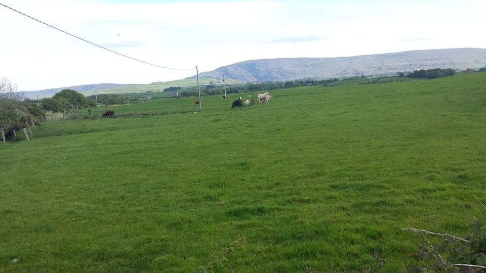 View at Rear of House