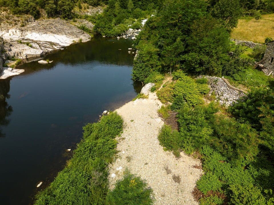 Water, Plant, Plant Community, Natural Landscape, Botany, Body Of Water, Vegetation, Grass, Watercourse