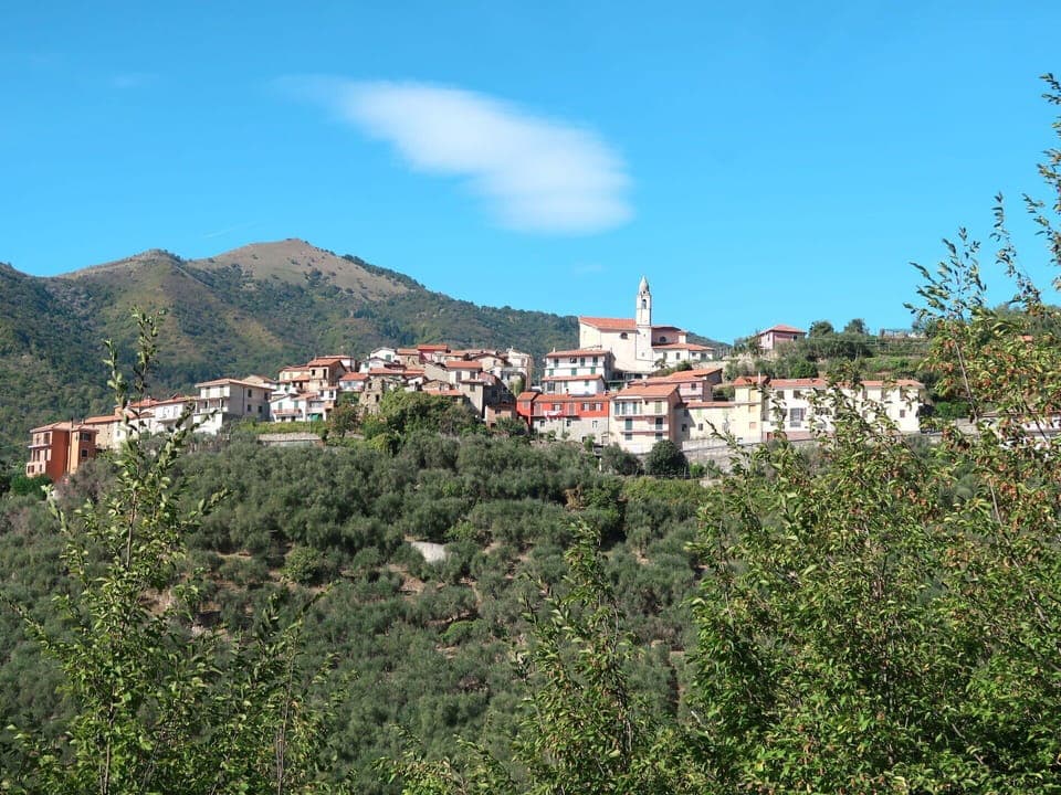 Furniture, Comfort, Wood, Bed, Lighting, Shade, Window, Floor, Flooring