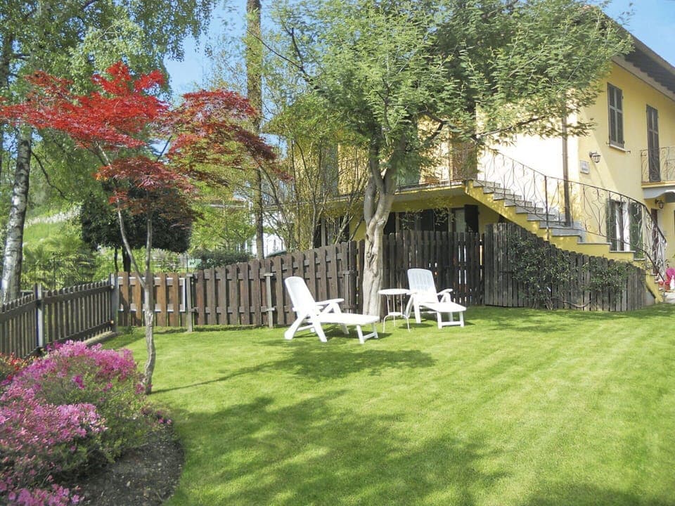 Plant, Flower, Property, Sky, Building, Furniture, Window, Tree, Chair, Grass