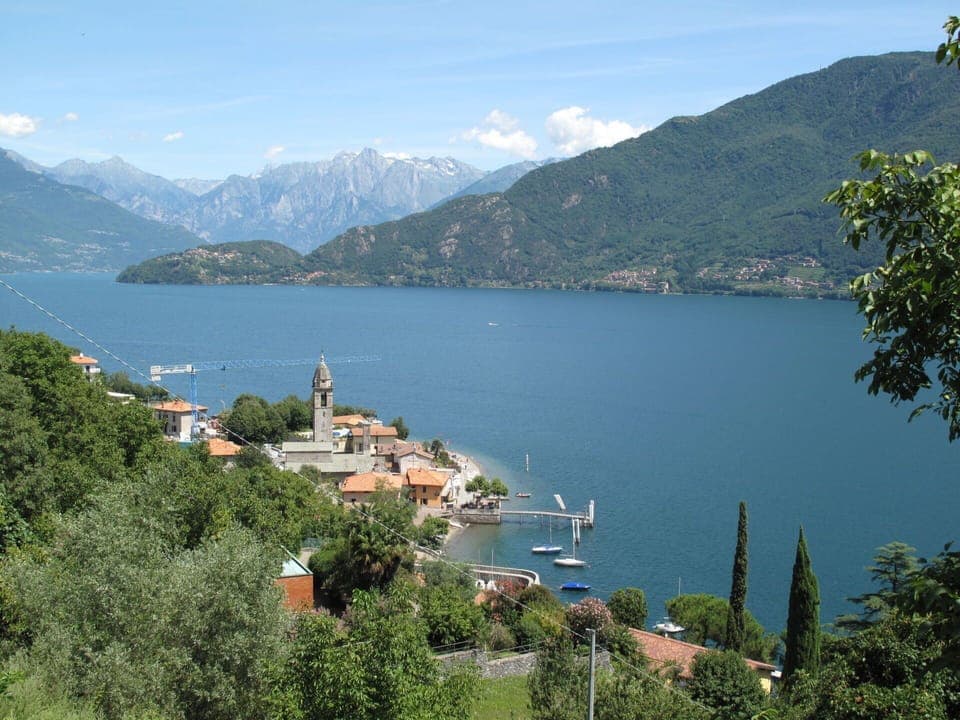 Plant, Sky, Plant Community, Natural Landscape, Branch, Tree, Grass, Shrub, Deciduous, Landscape