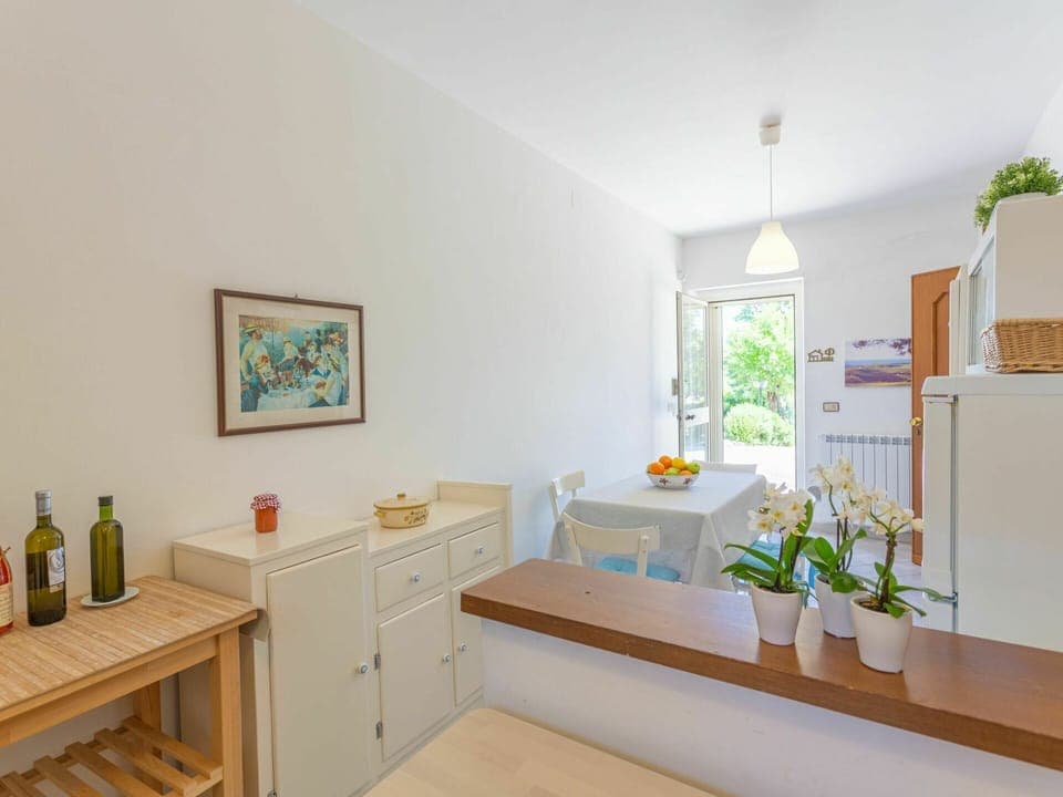 Plant, Property, Furniture, Building, Flower, Window, Houseplant, Flowerpot, Lighting, Interior Design