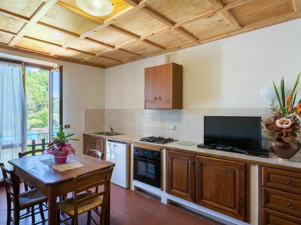 Countertop, Cabinetry, Furniture, Property, Window, Houseplant, Kitchen, Wood, Plant, Interior Design