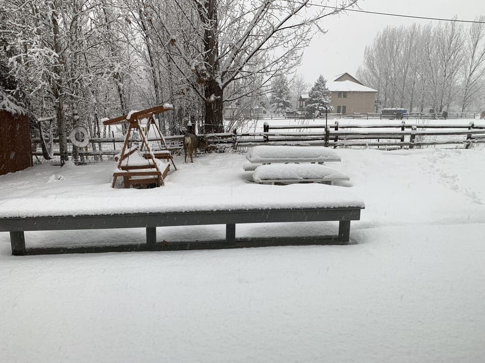 Peaceful winter back yard