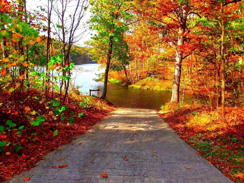 Yellowood Lake Boat Ramp