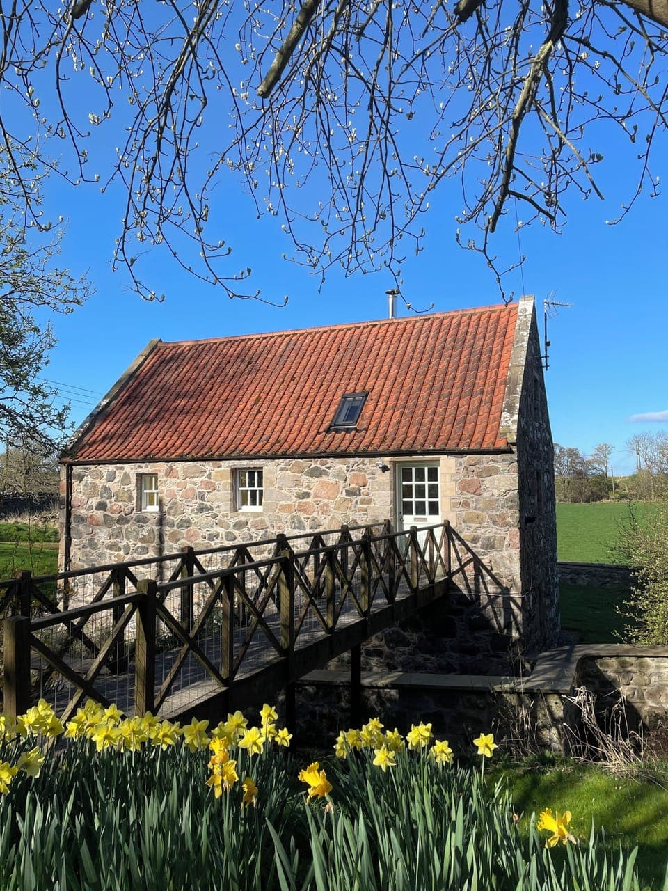 The Mill during Spring