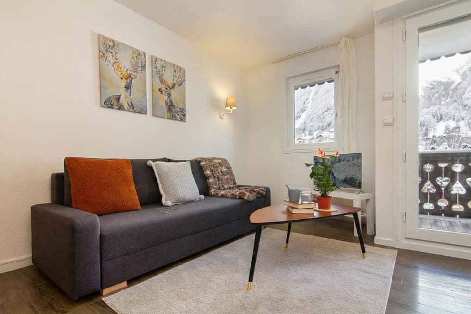 Living room with a sofa bed