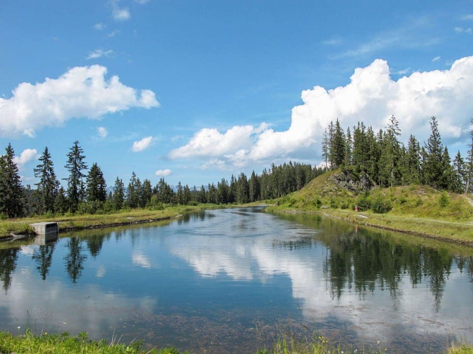 Cloud, Water, Sky, Plant, Ecoregion, Tree, Natural Landscape, Larch, Lake