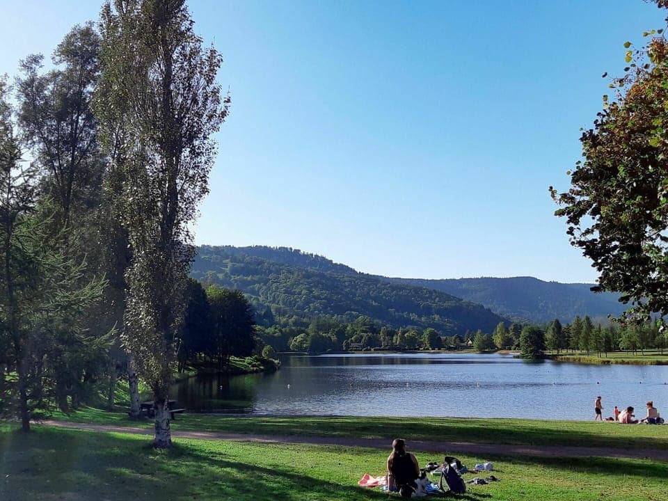 Water, Lake, Natural Landscape, Tree, River, Sky, Bank, Reservoir, Pond, Wilderness