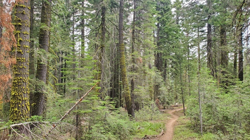 Mountain biking trails across the road from cabin