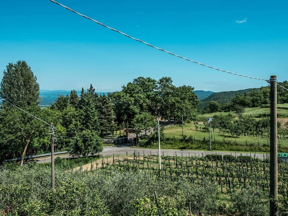 Sky, Plant, Ecoregion, Nature, Natural Landscape, Vegetation, Tree, Overhead Power Line, Electricity, Slope