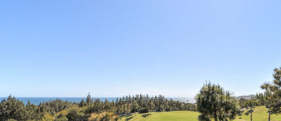 Las Palmeras 473 - 29