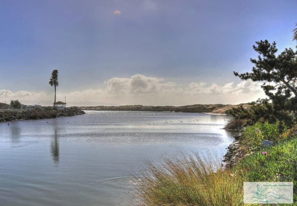 Pismo Estuary directly across the street