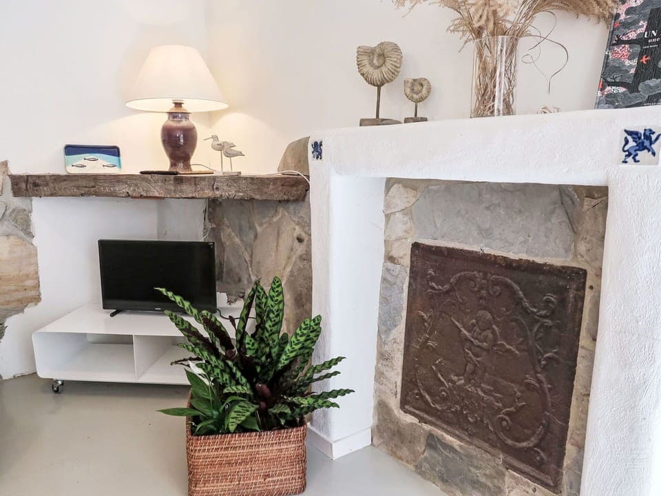 Furniture, Interior Design, Picture Frame, Living Room, Room, Natural Material, Flowerpot, Hearth, Houseplant