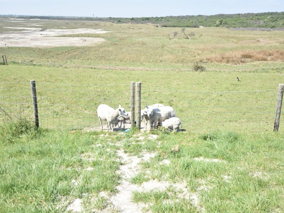 Immediate Surroundings [summer] (<1 km)