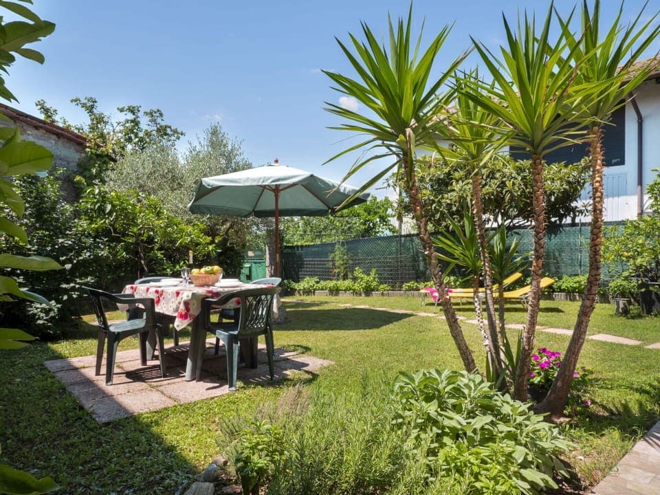 Plant, Property, Plant Community, Sky, Nature, Shade, Table, Vegetation, Arecales, Outdoor Furniture