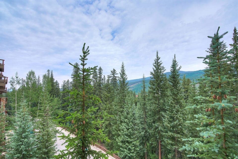 Mountain views from all angles of the building