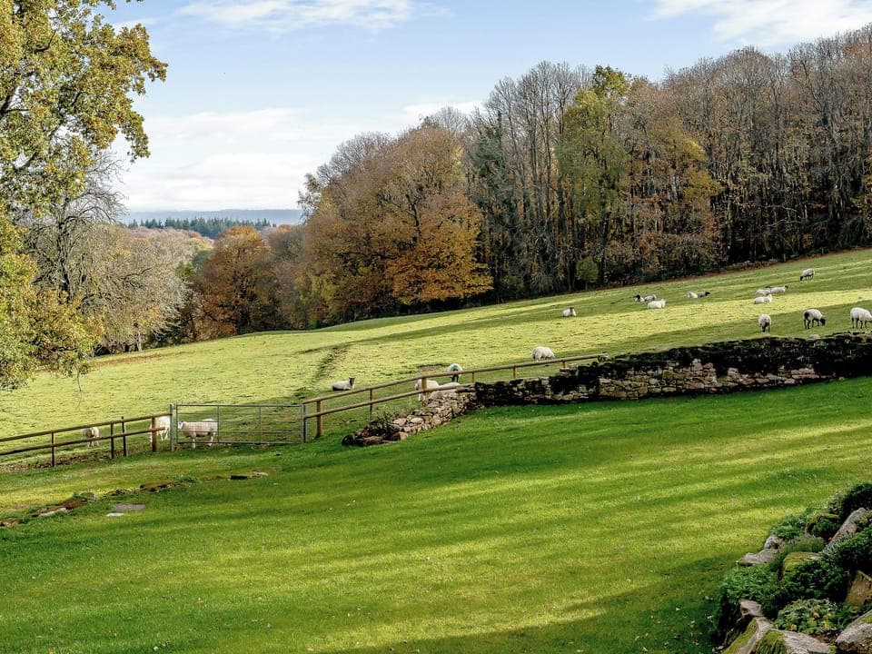 View | Priors Lodge Barns - Pipistrelle - Priors Lodge Barns , Bream, near Lydney