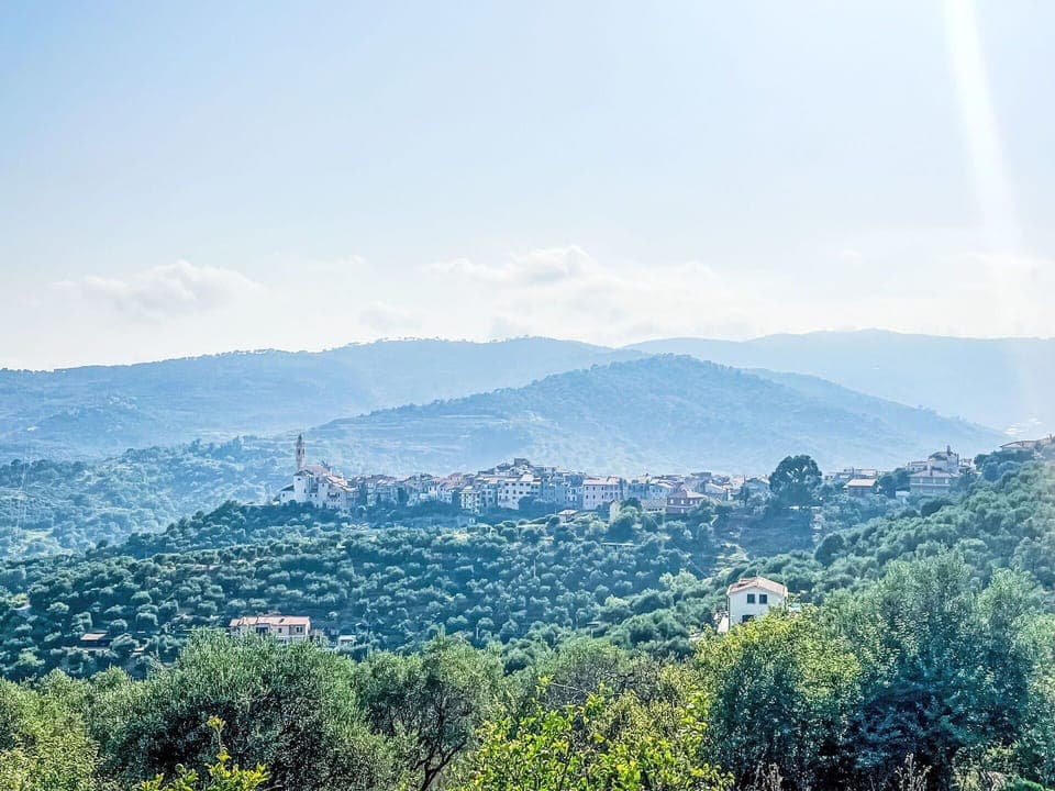 Blue, Swimming Pool, Resort, Outdoor Furniture, Eco Hotel, Shade, Chair, Hotel, Resort Town, Houseplant