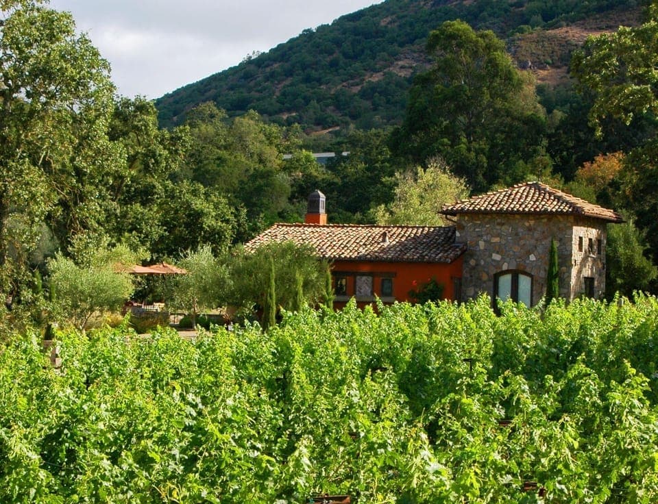 guest house, vineyards