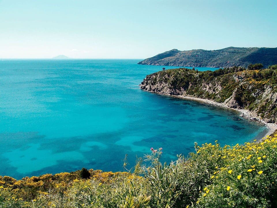 Body Of Water, Coastal And Oceanic Landforms, Vegetation, Blue, Natural Landscape, Coast, Plant Community, Landscape, Ocean, Sea