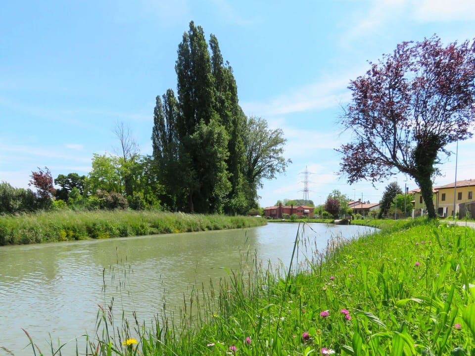 Natural Landscape, Natural Environment, Tree, Bank, Vegetation, River, Waterway, Nature Reserve, Grass, Canal