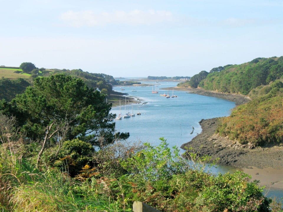 Sky, Building, Plant, Urban Design, Tower Block, Condominium, Real Estate, City, Facade, Commercial Building