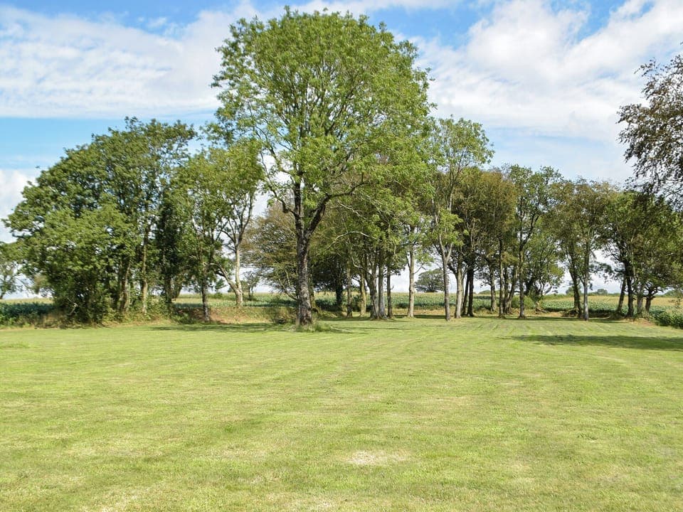 View | Swn-Y-Don, Llansteffan