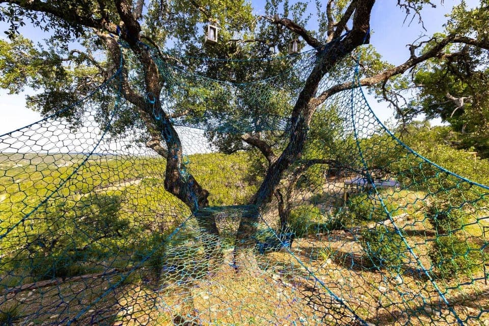 The attached tree net invites you even further towards the valley view. Clamber up to the crows nest for an incredible view. Read a book or take a nap right in the canopy!