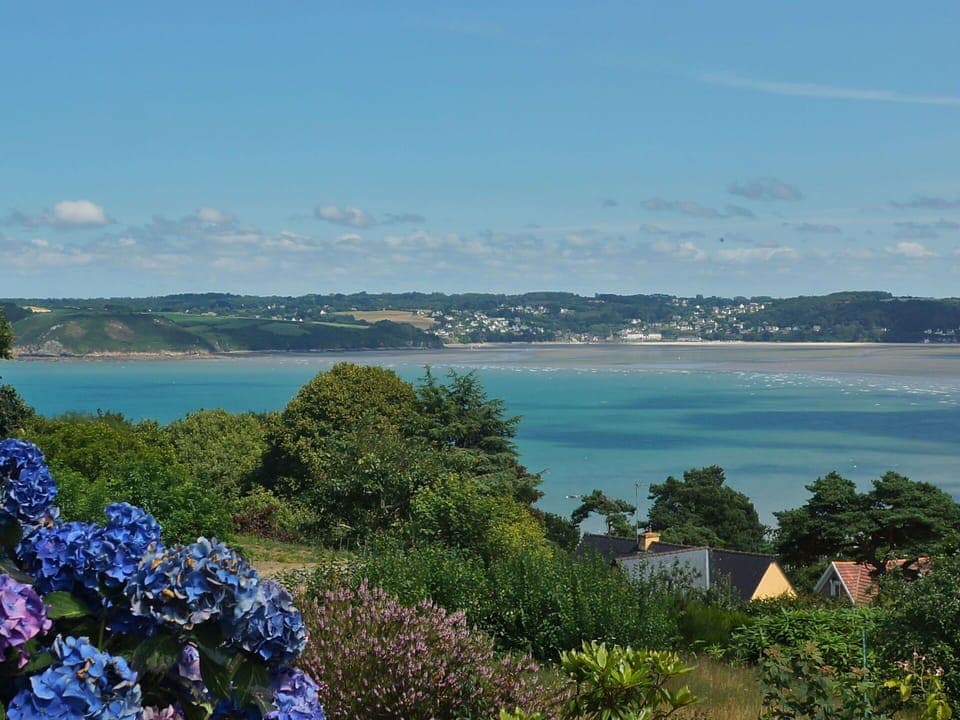 Water, Sky, Cloud, Flower, Plant, Azure, Vegetation, Lake, Tree, Coastal And Oceanic Landforms