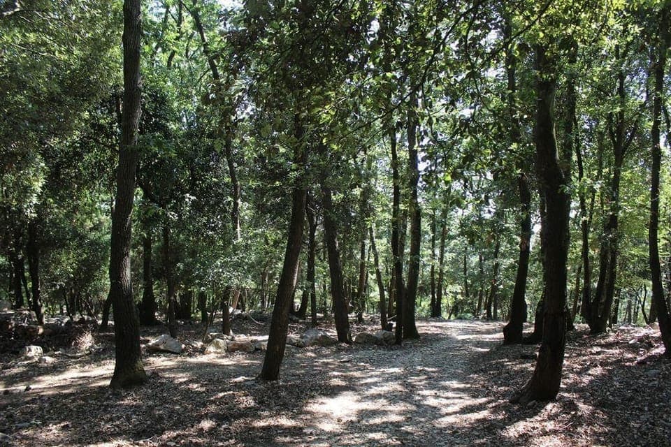 Area that directly surrounds the property