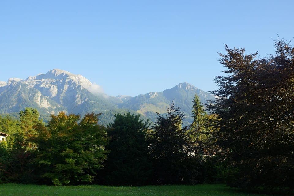 Area that directly surrounds the property