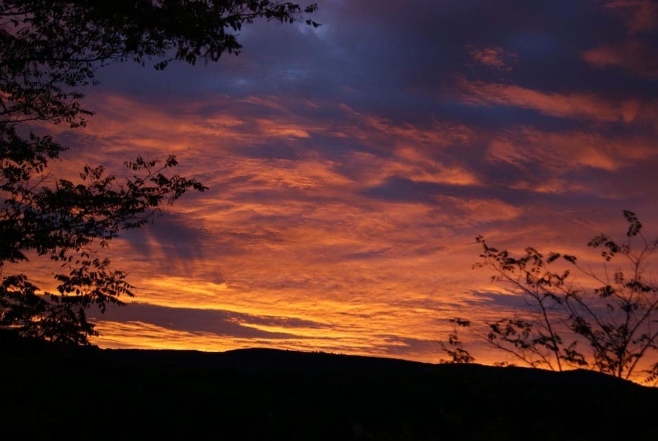 View from the window