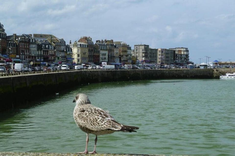 Region [summer] (>5 km)