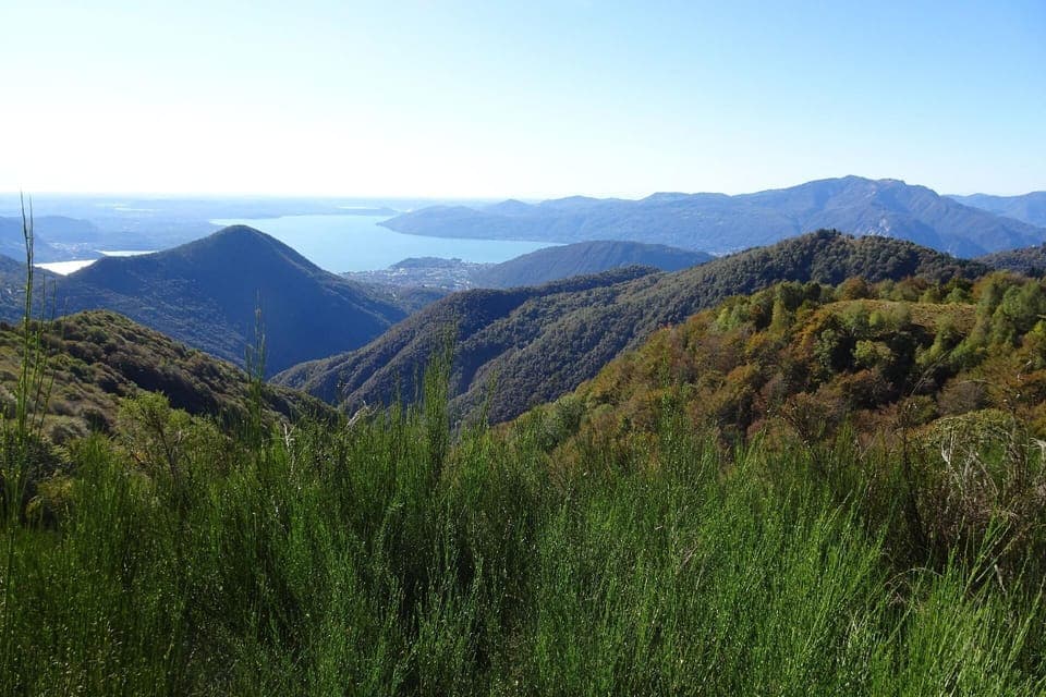 Town/city in general