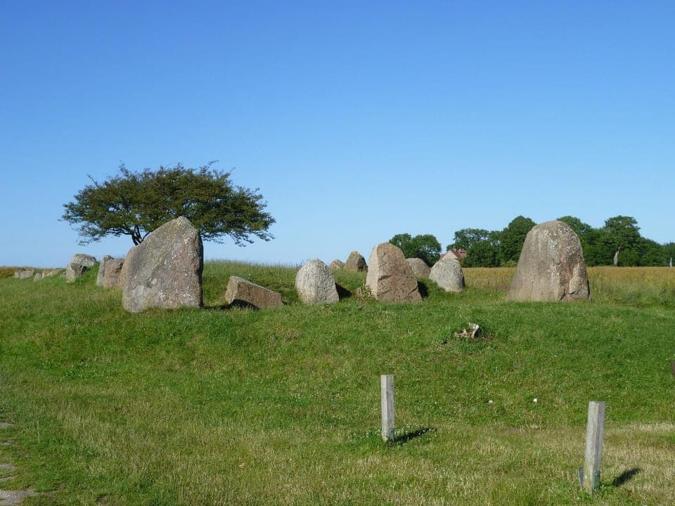 Town/city in general