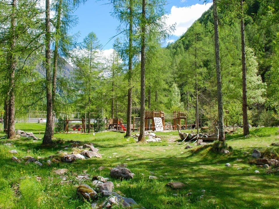 Natural Landscape, Nature, Tree, Natural Environment, Forest, Nature Reserve, Wilderness, Biome, Woodland, Vegetation