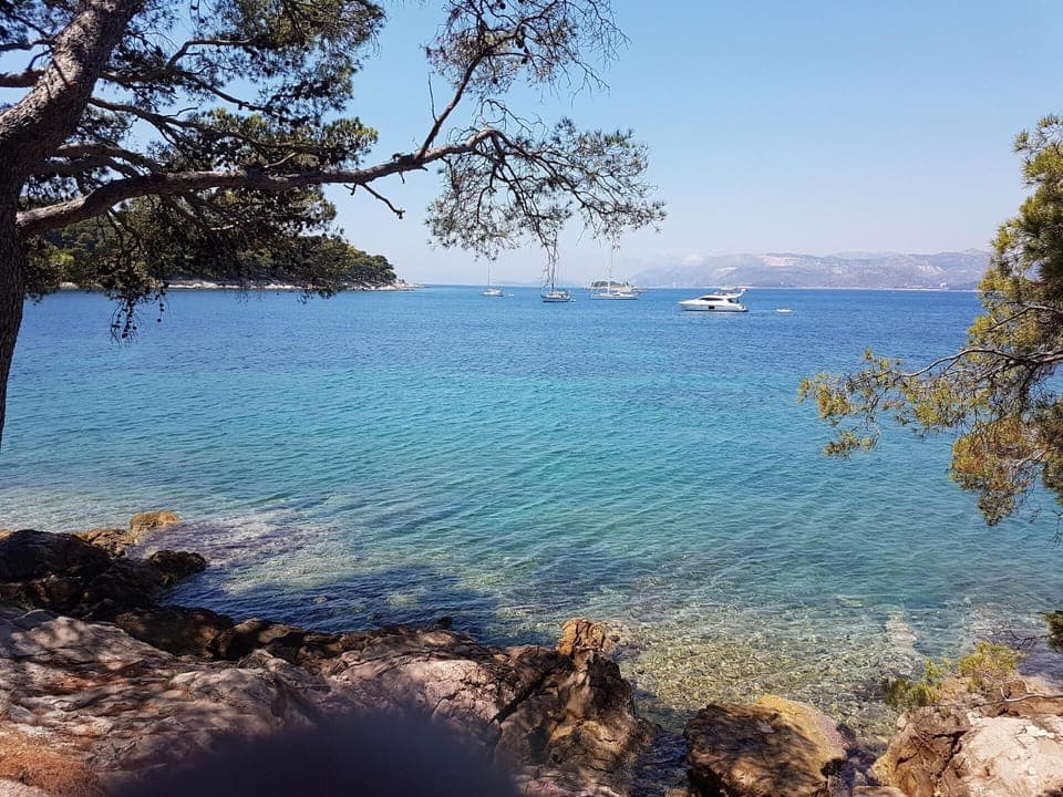 Town/city in general