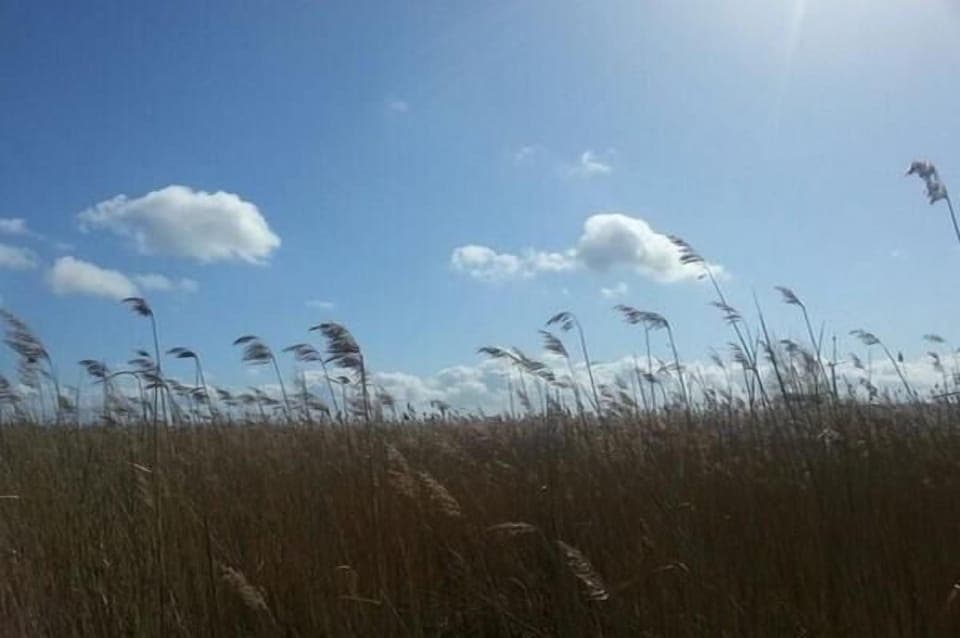 Town/city in general