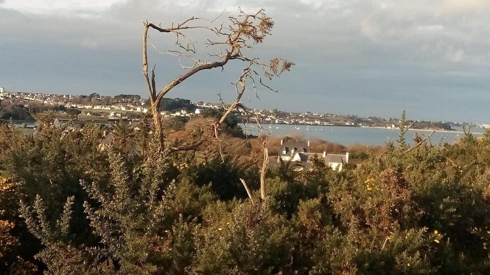 Area that directly surrounds the property