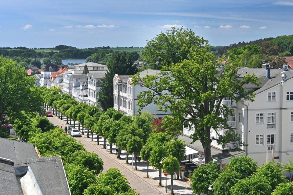 Area that directly surrounds the property