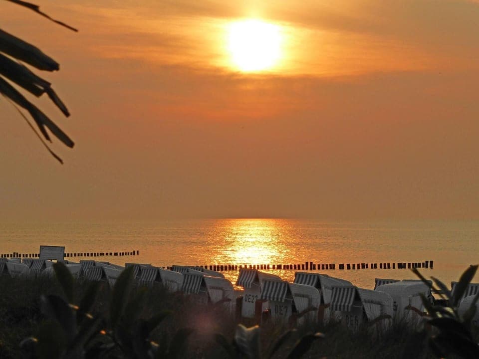 Area that directly surrounds the property