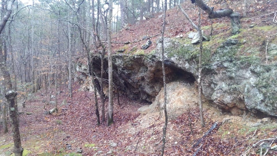 Ouachita National Forest just a few miles east of our house.