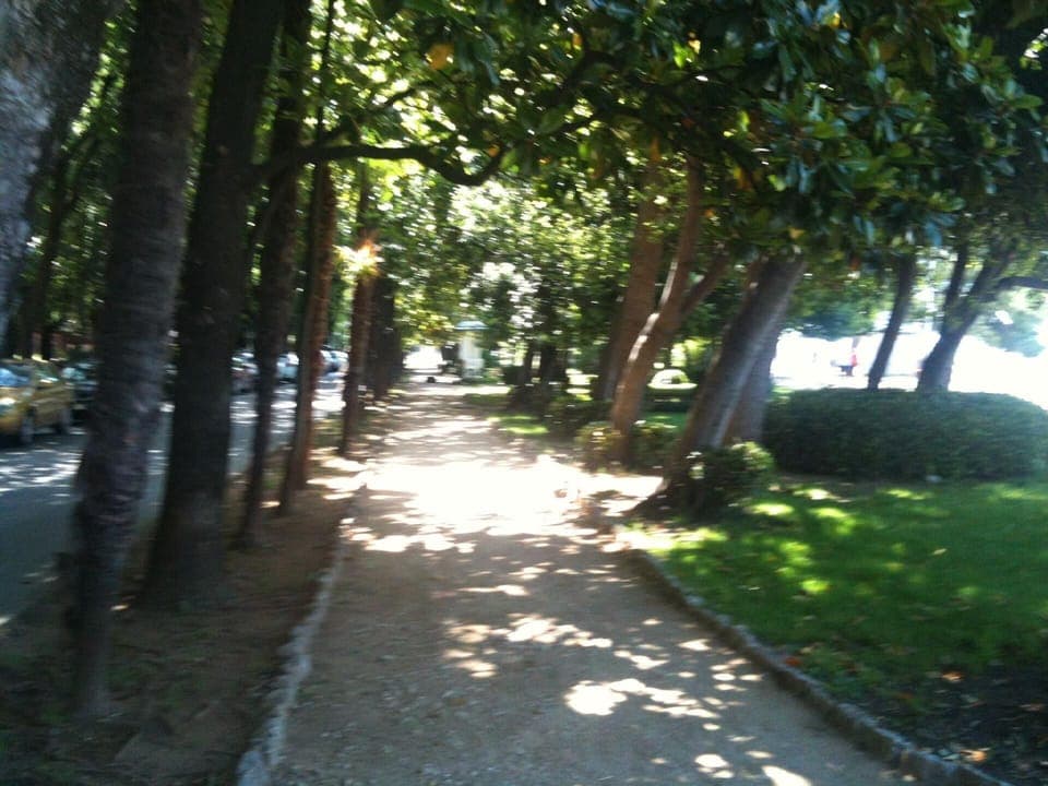 Town/city in general