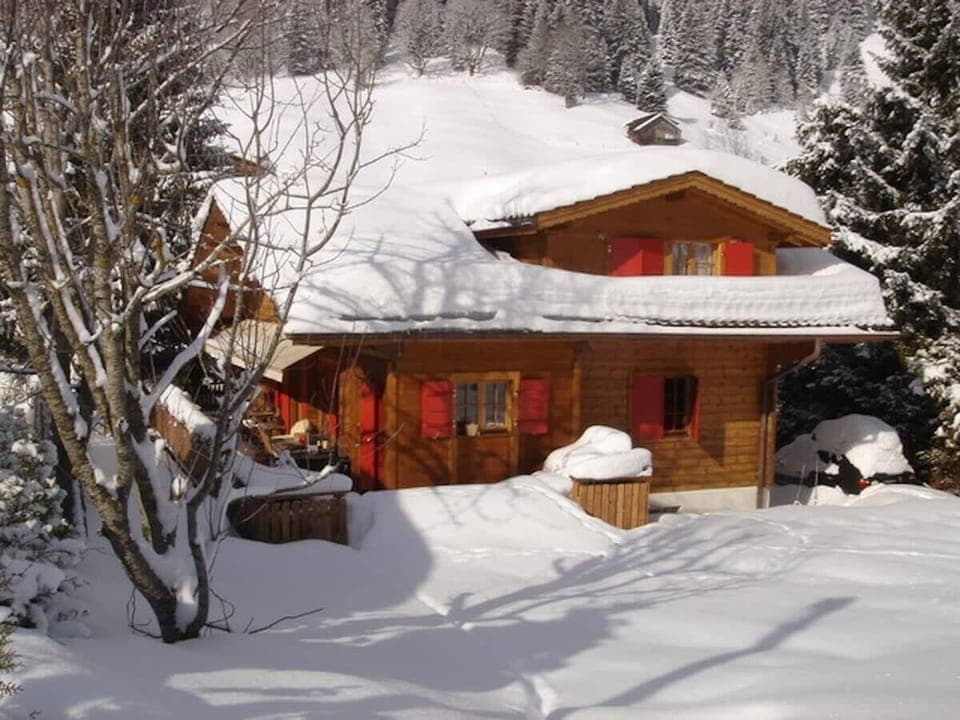 the snow covered  charming chalet 