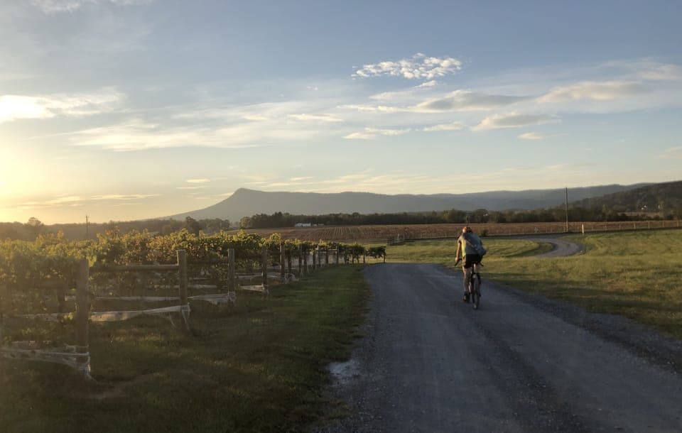 Brix and Columns vineyards just 5 miles away. Many other local vineyards nearby!