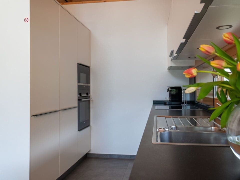 Furniture, Plant, Building, Cabinetry, Flower, Kitchen, House, Interior Design, Vase, Flooring