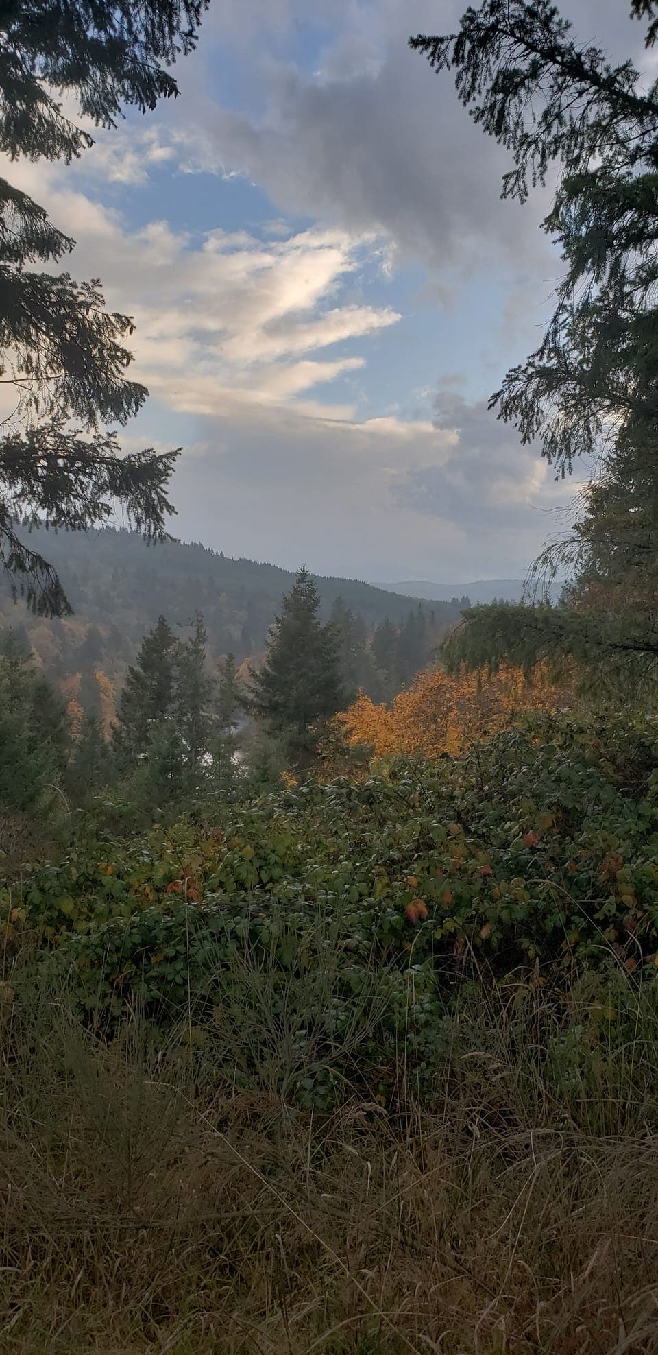 The view from atop the property