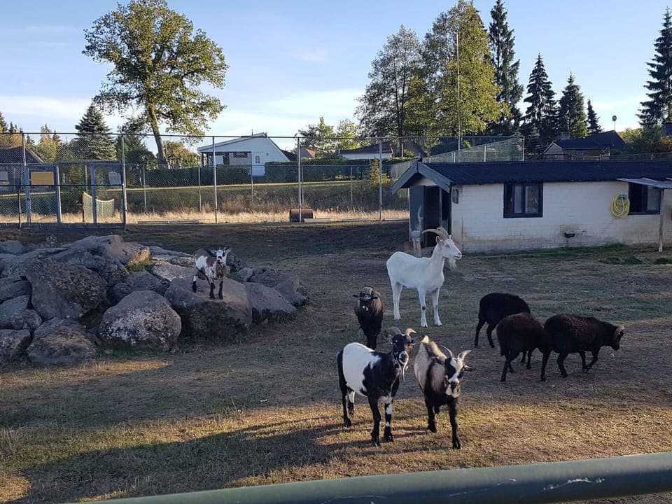 Sky, Ecoregion, Window, Tree, Cloud, Plant, Building, Rural Area, Landscape