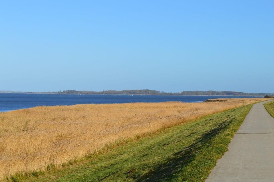 Area that directly surrounds the property